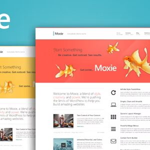 Moxie - Responsive Theme for WordPress