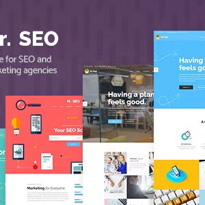 Mr. SEO | SEO, Marketing Agency and Social Media Theme