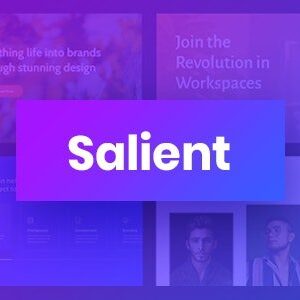 Salient | Creative Multipurpose & WooCommerce Theme