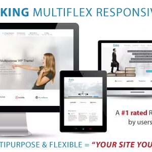 Striking MultiFlex & Ecommerce Responsive WP Theme